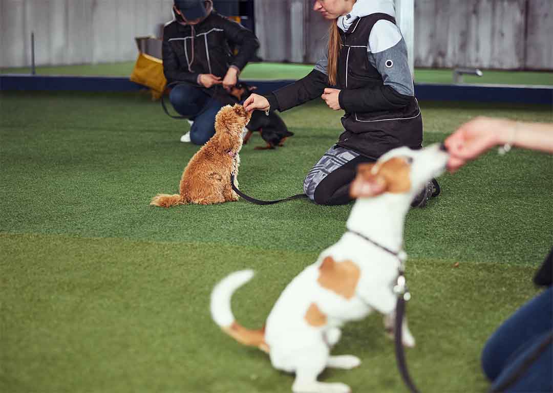 training class